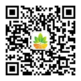 芒果新能源微信公众号